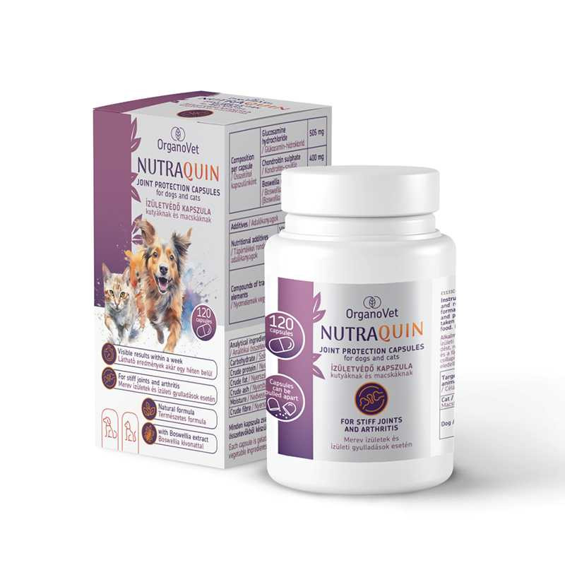 Akciók - Ízületvédelem