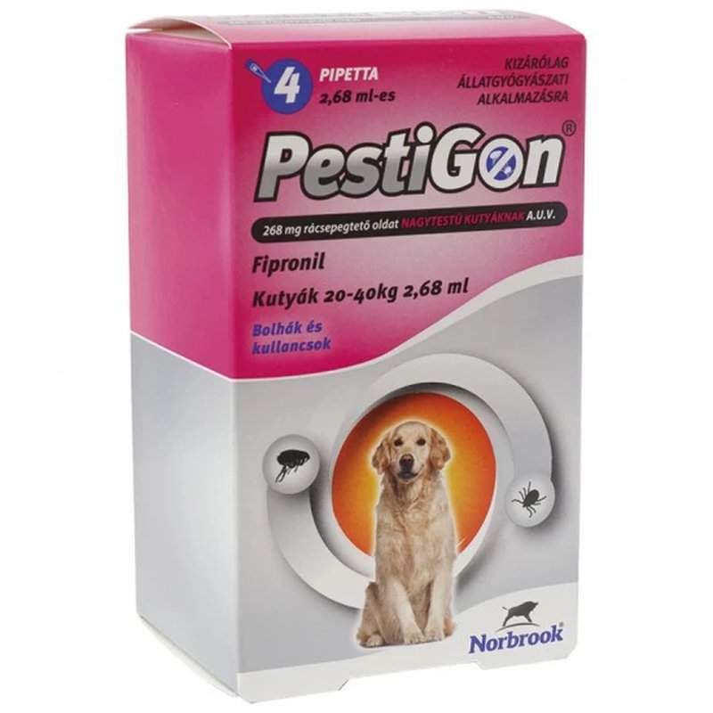 Akciók - Bolha és kullancs