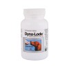 Dyna-Lode tabletta 50x A493770