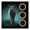 Sheba Alutasakos Csirke 85g