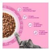 Whiskas alutasak Multipack húsos mártásban JUNIOR 4x85g