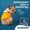 Webinár előfizetés 5.  Paulina Anna – Szánkázás? Jelez a bűzmirigy