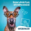Webinár előfizetés 3.  Dobos András – Szaruhártya elváltozásai