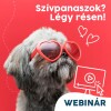 Webinár előfizetés 7.  Várlaki Nóra/Vásárhelyi Balázs - Szívpanaszok? Légy résen!