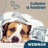 Webinár előfizetés 8.  Várlaki Nóra/Vásárhelyi Balázs - Gubanc a hasban