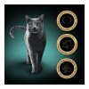 Sheba alutasak Multipack Cuisine Húsos 4x85g