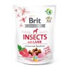 Brit Care Crunchy Cracker Insects, Lamb&Raspberries 200g B100624