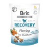 Brit Functional Snack Recovery Herring jutalomfalat 150g B111584