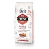 Brit Fresh Beef with Pumpkin Puppy Large kutyatáp 12 kg B170991