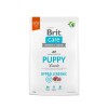 Brit Care Dog Hypoallergenic Puppy Lamb & Rice kutyatáp 1kg BC172211