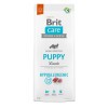 Brit Care Dog Hypoallergenic Puppy bárány,rizs kutyatáp 12kg BC172213