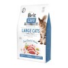 Brit Care Cat Grain Free Adult Large Cats macskatáp 2kg BCC40914