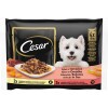Cesar alutasak Multipack válogatás mártásban 4x100g