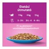Whiskas alutasak Multipack halas válogatás aszpikban 12x85g