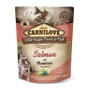 Carnilove Dog Puppy tasakos Paté Salmon with Blueberries - Lazac áfonyával 300g HU CL111699