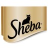 SHEBA alutas 40-pack szárnyas 40*85g Multipack CN04V