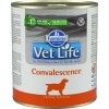 Vet Life Dog Konzerv Convalescence 300g CVL0300001