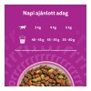 Whiskas Száraz Steril Lazac 1,4kg