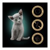 Sheba alutasak Multipack Natures Junior 4x85g
