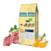 Dog Vital Hipoallergén Adult Medium&Maxi Lamb,spinach&pumpkin 12+2kg grátisz