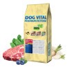Dog Vital Hipoallergén Top Energy Adult Medium&Maxi Pork, blueberry&spinach 12+2kg grátisz