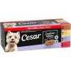 CESAR alutas 40-pack Válogatás mártásban 40*100g