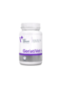 VetExpert GeriatriVet macskáknak Twist kapszula 60x