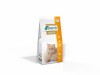 VetExpert Veterinary Diet Renal macskáknak 2kg