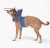 Paw Prosper Muffin s Halo vak kutyáknak - kék - 5-ös méret