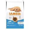 -Iams Cat Kitten Ocean Fisch 10kg
