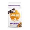 Iams Cat Kitten csirke macskatáp 2kg IAMS50062