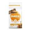 Iams Cat Adult Hairball Control csirke macskatáp 2kg IAMS50376