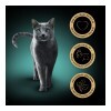 Sheba Alutálca Borjú-Csirke 85g