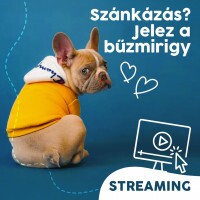Webinár előfizetés 5.  Paulina Anna – Szánkázás? Jelez a bűzmirigy