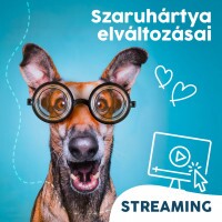 Webinár előfizetés 3.  Dobos András – Szaruhártya elváltozásai