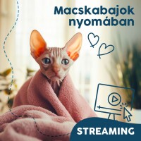Webinár előfizetés 4.  Vásárhelyi Balázs – Macskabajok nyomában