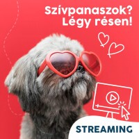 Webinár előfizetés 7.  Várlaki Nóra/Vásárhelyi Balázs - Szívpanaszok? Légy résen!