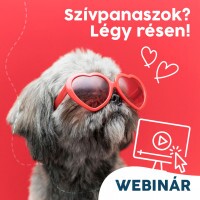 Webinár előfizetés 7.  Várlaki Nóra/Vásárhelyi Balázs - Szívpanaszok? Légy résen!