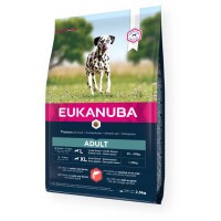 Eukanuba Adult Large Salmon & Barley kutyatáp 2,5kg