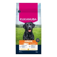 Eukanuba Junior Large kutyatáp 15kg