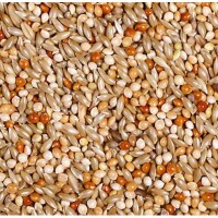 JR Farm Classic Hullámos papagáj 1kg