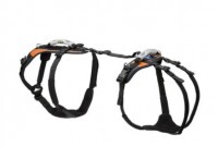 Paw Prosper Közepes méretű hám