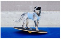 Paw Prosper FitPaws 92 cm-es kör alakú billenő deszka