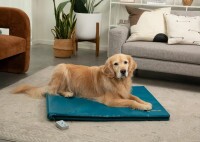 Paw Prosper Bio-Pulse kutya PEMF vinil terápiás rendszer