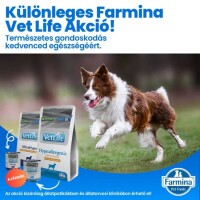 Vet Life Natural Diet Dog Hypo Fish&potato 2kg+1*300g konzerv csomag