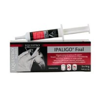 Equistro Ipaligo foal 3 x 14g