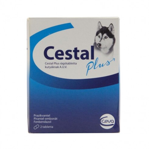 Cestal Plus rágótabletta 2x