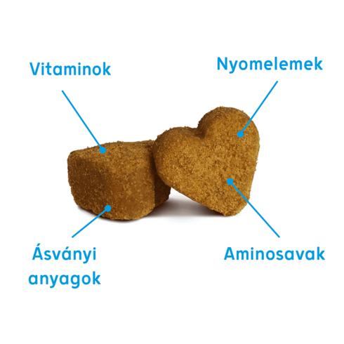 Dr. Dog Vitamin multiMAX multivitamin kutyáknak- 45db vitaminfalat
