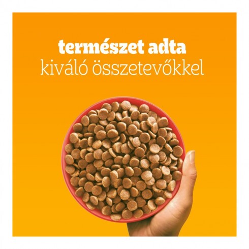 Pedigree Száraz Mini Marha-Zöldség 12kg