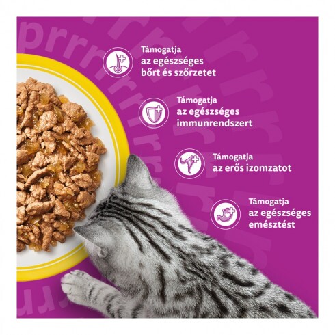 Whiskas alutasak Multipack szárnyas aszpikban 12x85g
